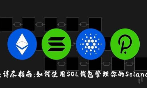 题目：详尽指南：如何使用SOL钱包管理你的Solana资产