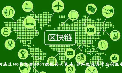 如何通过NO钱包将USDT提现为人民币：详细教程与常见问题解答