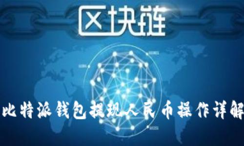 比特派钱包提现人民币操作详解