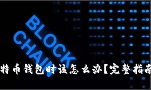 当米丢失比特币钱包时该怎么办？完整指南与解决方案