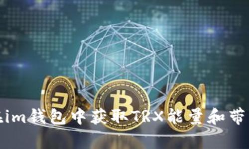 如何在im钱包中获取TRX能量和带宽详解