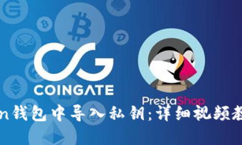如何在imToken钱包中导入私钥：详细视频教程与实用指南