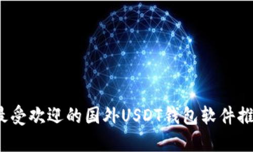 2023年最受欢迎的国外USDT钱包软件推荐与对比