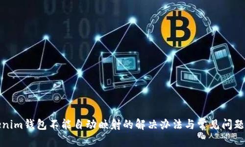 Tokenim钱包不能自动映射的解决办法与常见问题分析