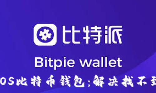 如何选择和使用iOS比特币钱包:解决找不到问题的全面指南