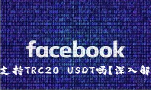 Tokenim钱包支持TRC20 USDT吗？深入解析与用户指南