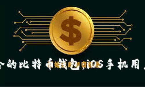 如何选择适合的比特币钱包：iOS手机用户的终极指南