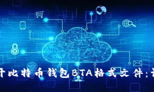 如何打开比特币钱包BTA格式文件：详细指南