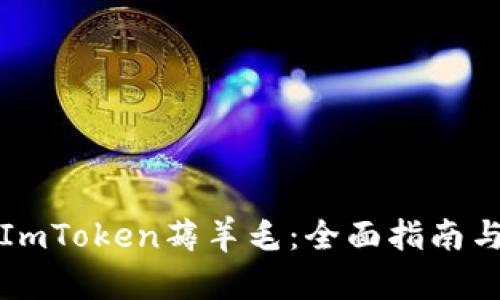 如何通过ImToken薅羊毛：全面指南与实用技巧