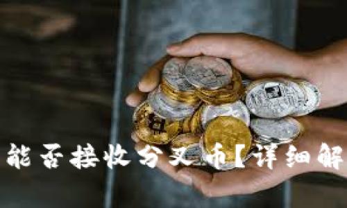 TokenIm钱包能否接收分叉币？详细解析与使用指南