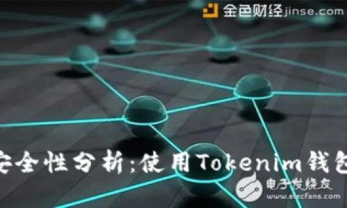 Tokenim钱包官网安全性分析：使用Tokenim钱包的风险与安全防护