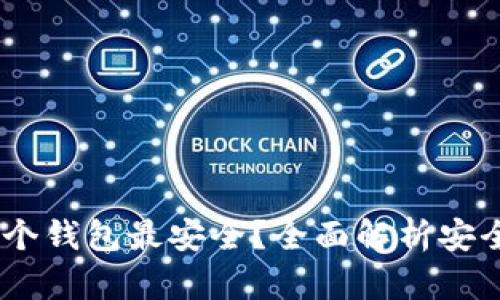 USDT币存在哪个钱包最安全？全面解析安全性与选择指南