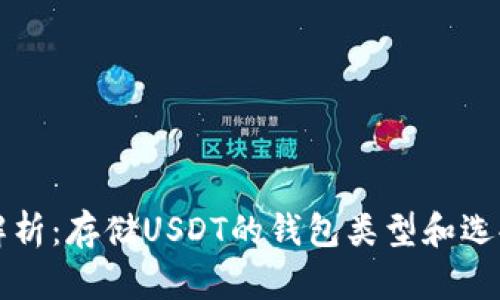 全面解析：存储USDT的钱包类型和选择指南
