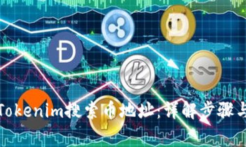 如何使用Tokenim搜索币地址：详解步骤与注意事项