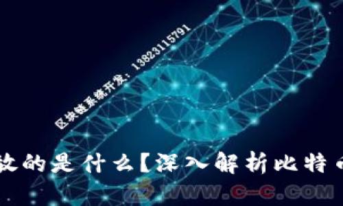 比特币钱包存放的是什么？深入解析比特币钱包及其功能