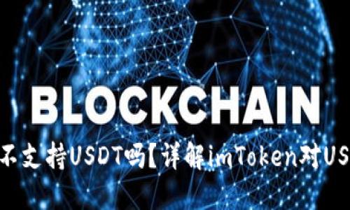 imToken钱包不支持USDT吗？详解imToken对USDT的支持情况