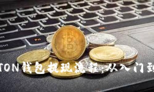 详解TON钱包提现流程：从入门到精通
