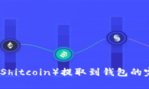 从屎币（Shitcoin）提取到钱包的完整指南