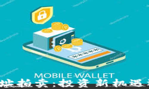 
比特币钱包地址拍卖：投资新机遇还是风险陷阱？