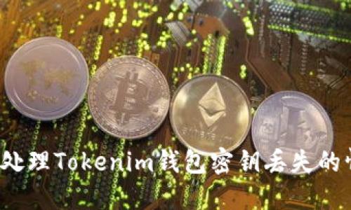 如何处理Tokenim钱包密钥丢失的情况？