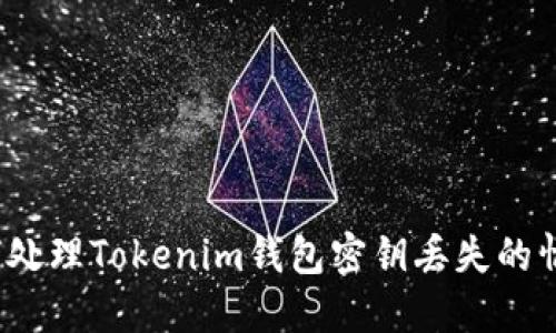 如何处理Tokenim钱包密钥丢失的情况？