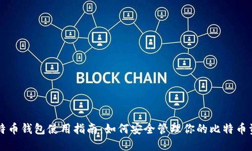 比特币钱包使用指南：如何安全管理你的比特币资产