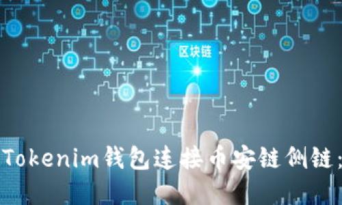 如何使用Tokenim钱包连接币安链侧链：完整指南