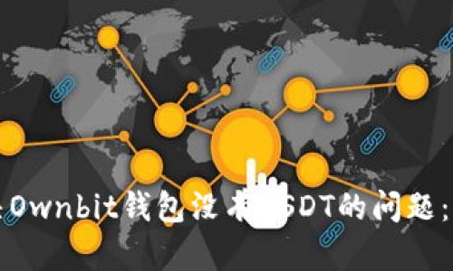 如何解决Ownbit钱包没有USDT的问题：全面指南