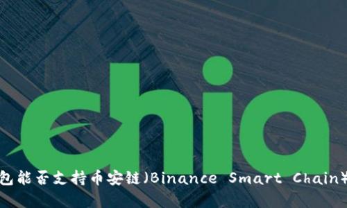 imToken钱包能否支持币安链（Binance Smart Chain）的全面解析