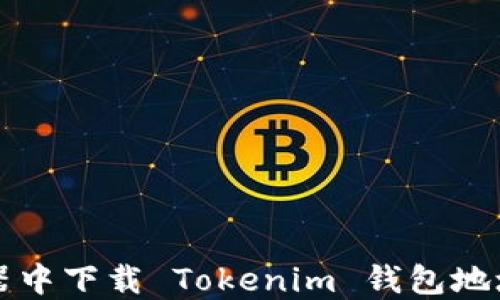 
如何在浏览器中下载 Tokenim 钱包地址的完整指南
