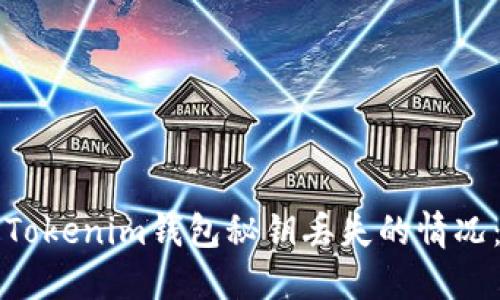 如何处理Tokenim钱包秘钥丢失的情况：全面指南