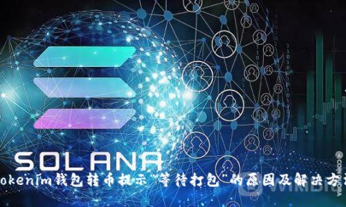 Tokenim钱包转币提示“等待打包”的原因及解决方法