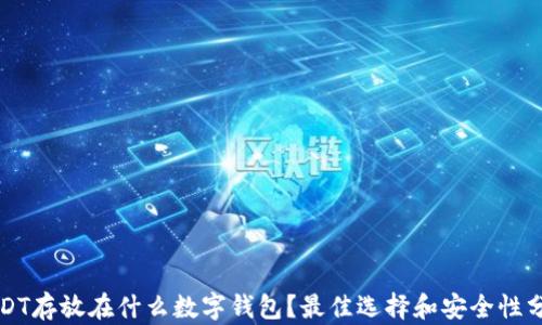 
USDT存放在什么数字钱包？最佳选择和安全性分析