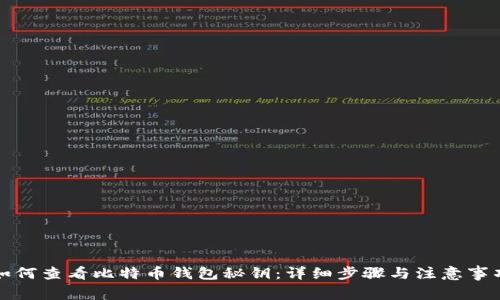 如何查看比特币钱包秘钥：详细步骤与注意事项