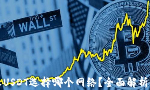 
ImToken收USDT选择哪个网络？全面解析与操作指南