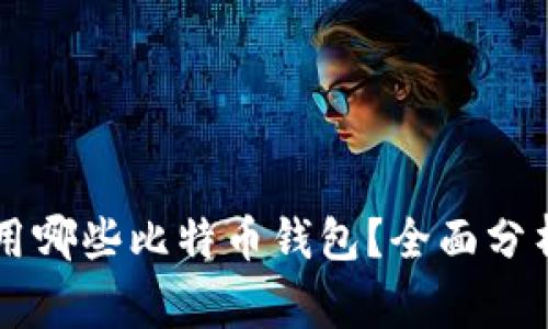 黑客常用哪些比特币钱包？全面分析与推荐