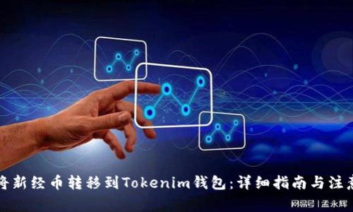 如何将新经币转移到Tokenim钱包：详细指南与注意事项