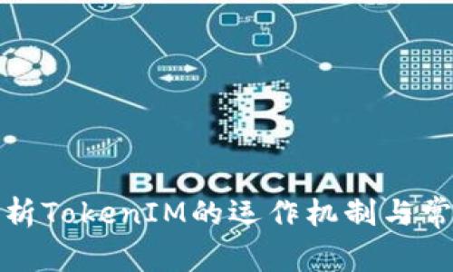 深入解析TokenIM的运作机制与常见套路