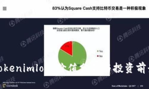 Tokenimlon：价值分析与投资前景