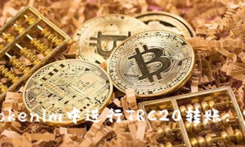 如何在Tokenim中进行TRC20转账: 完整指南