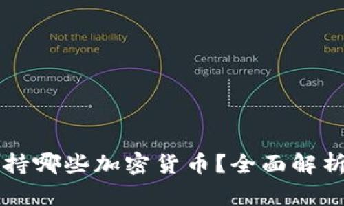 比特钱包支持哪些加密货币？全面解析与使用指南