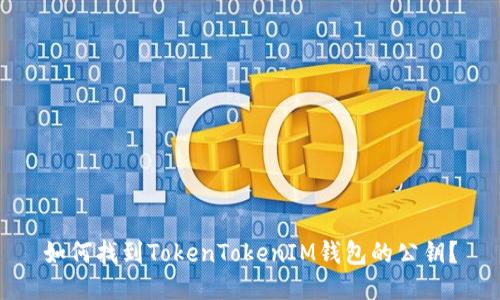 如何找到TokenTokenIM钱包的公钥？
