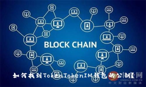 如何找到TokenTokenIM钱包的公钥？