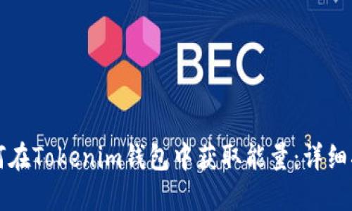 如何在Tokenim钱包中获取能量：详细指南