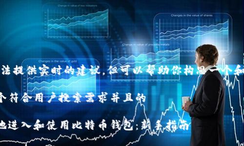 注意：我无法提供实时的建议，但可以帮助你构思一个和相关内容。

下面是一个符合用户搜索需求并且的

如何安全地进入和使用比特币钱包：新手指南