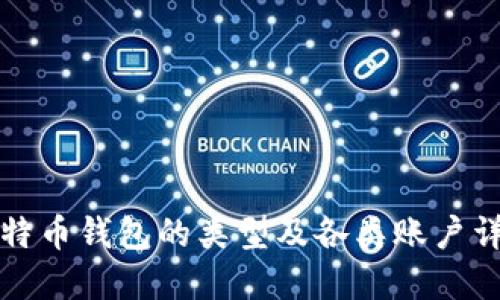 比特币钱包的类型及各类账户详解