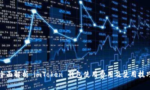 全面解析 imToken 钱包使用费用及使用技巧