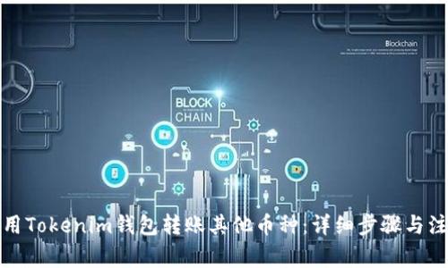 如何使用Tokenim钱包转账其他币种：详细步骤与注意事项