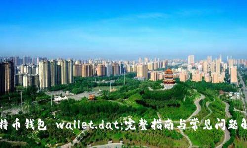 比特币钱包 wallet.dat：完整指南与常见问题解析