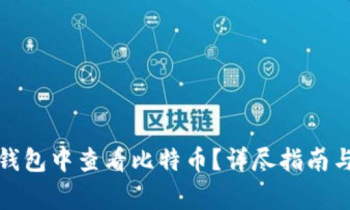 如何在支付宝钱包中查看比特币？详尽指南与常见问题解答